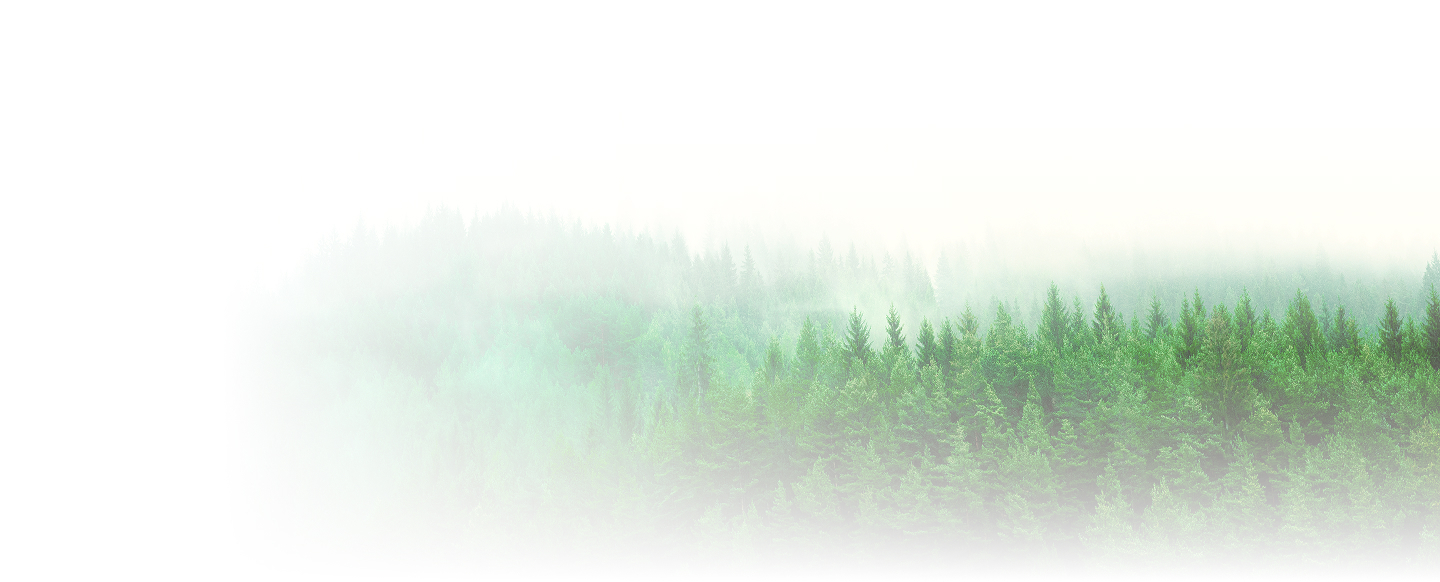 Firest V4