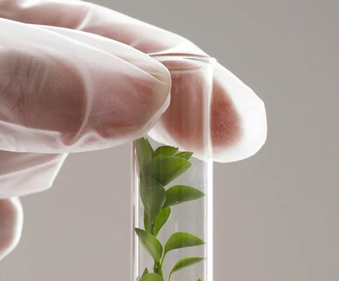 life sciences ain image